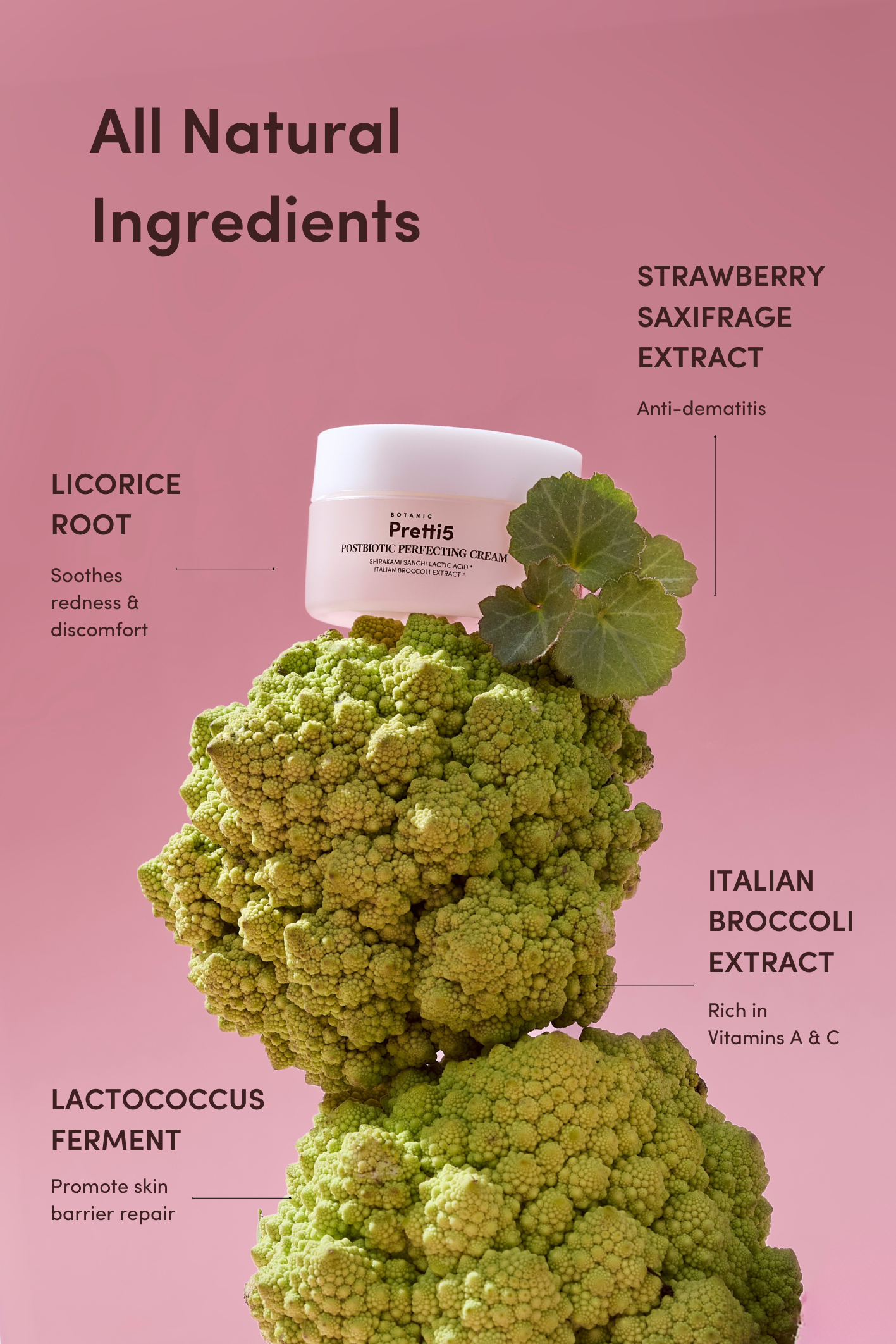 POSTBIOTIC FORTIFYING DUO